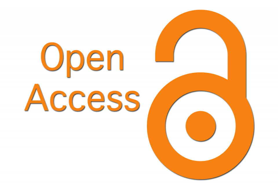 Pomarańczowy napis "Open Access" i logo w postaci otwartej pomarańczowej kłódki.