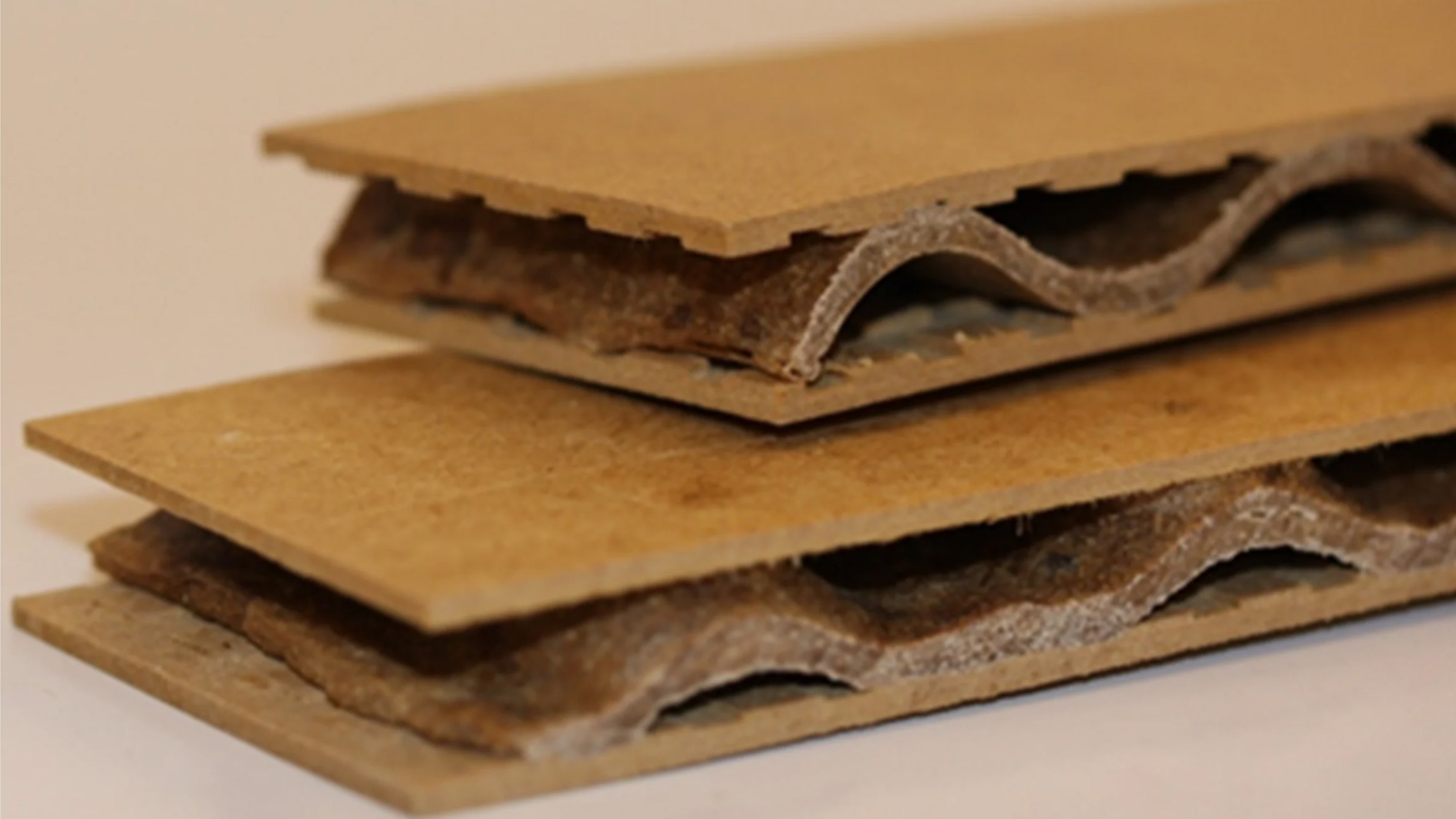 Panele drewniane w przekroju